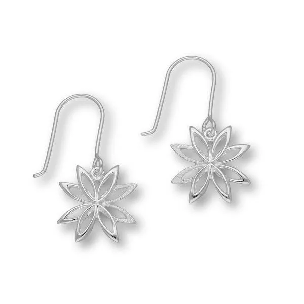 Akiha Silver Earrings E1464