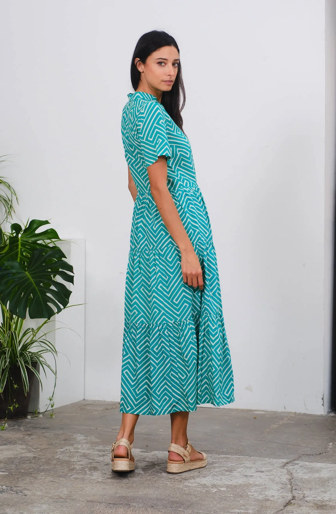 Maxi Dress in Zeds Green Print