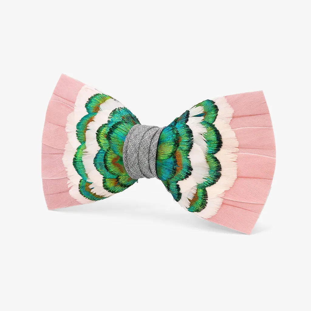 Scottsdale Bow Tie